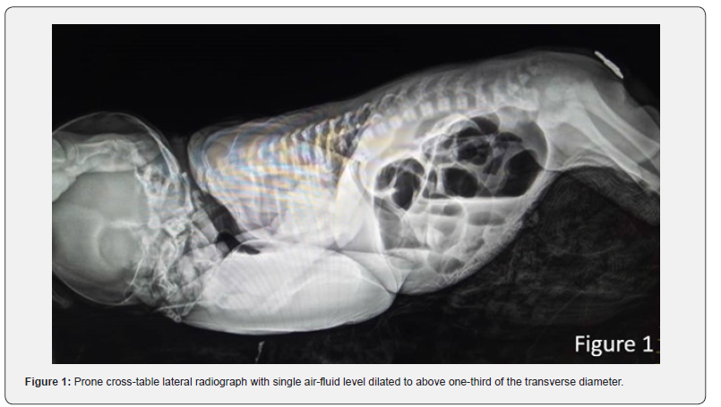 Click here to view Large Figure 1