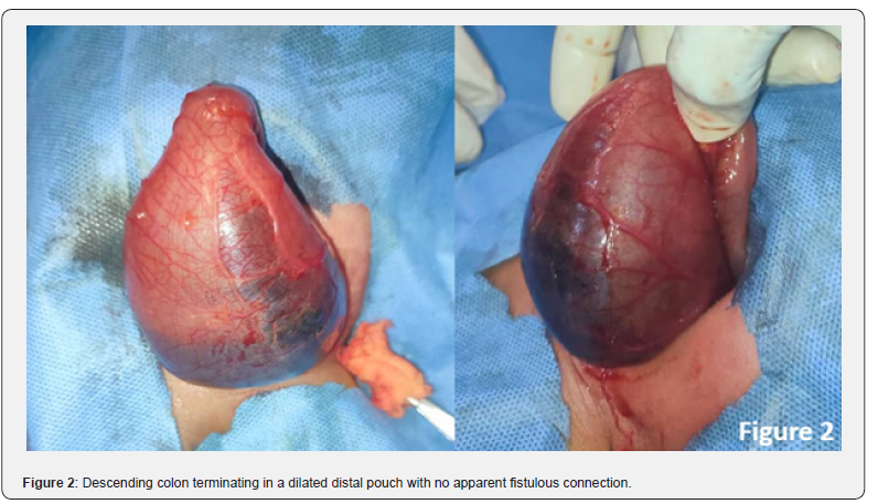 Click here to view Large Figure 2