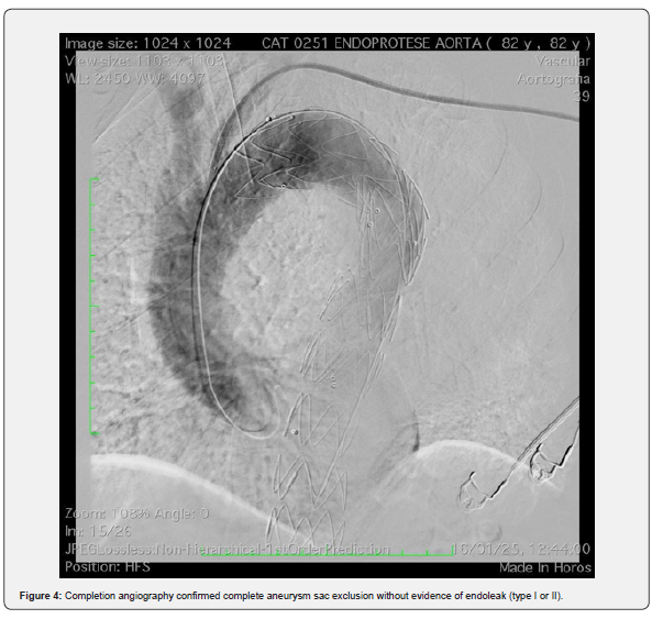 Click here to view Large Figure 1