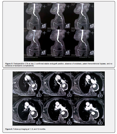 Click here to view Large Figure 1