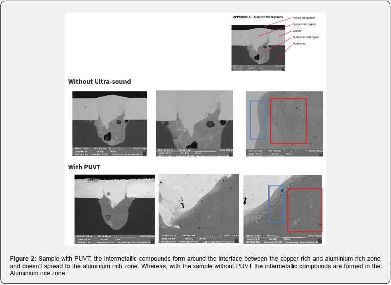 Click here to view Large Figure 2
