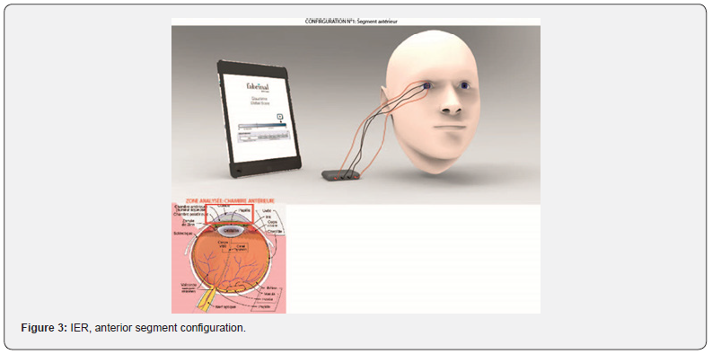 Click here to view Large Figure 3