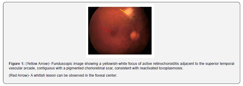 Click here to view Large Figure 1