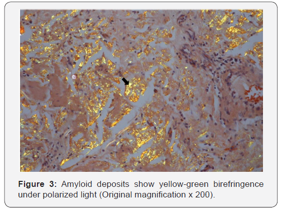 Click here to view Large Figure 3
