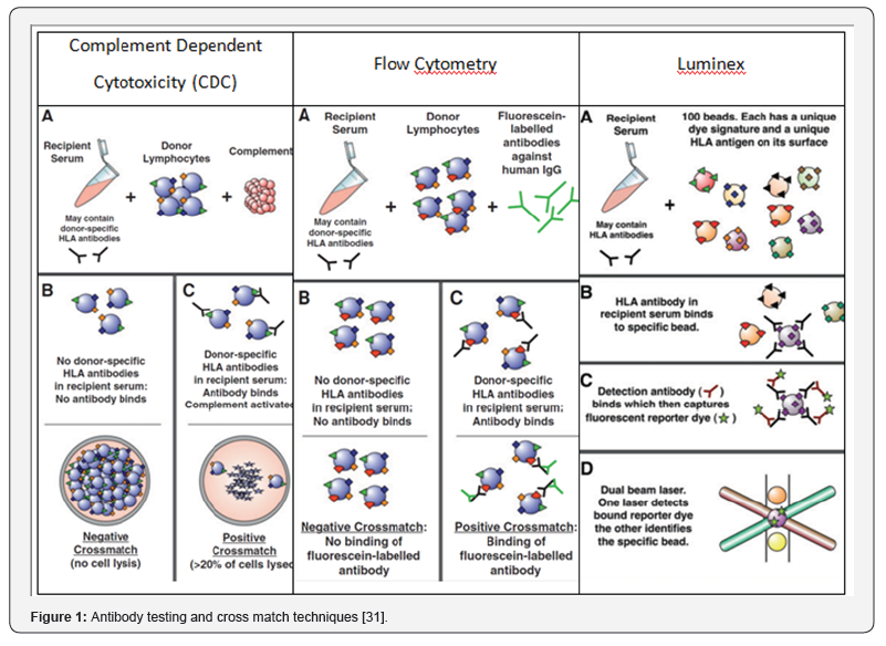 Click here to view Large Figure 1
