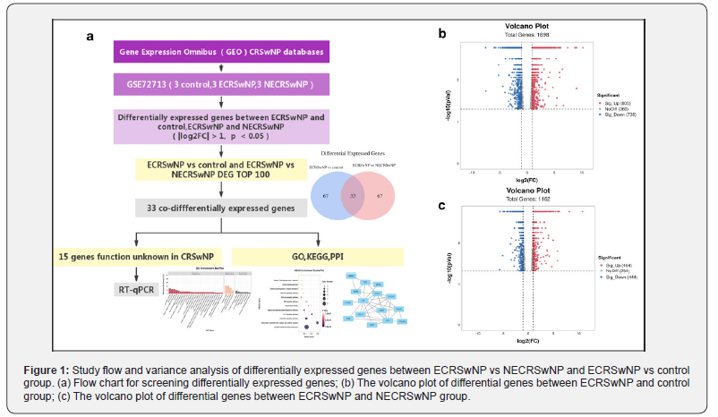 Click here to view Large Figure 1