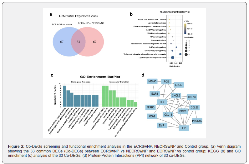 Click here to view Large Figure 2