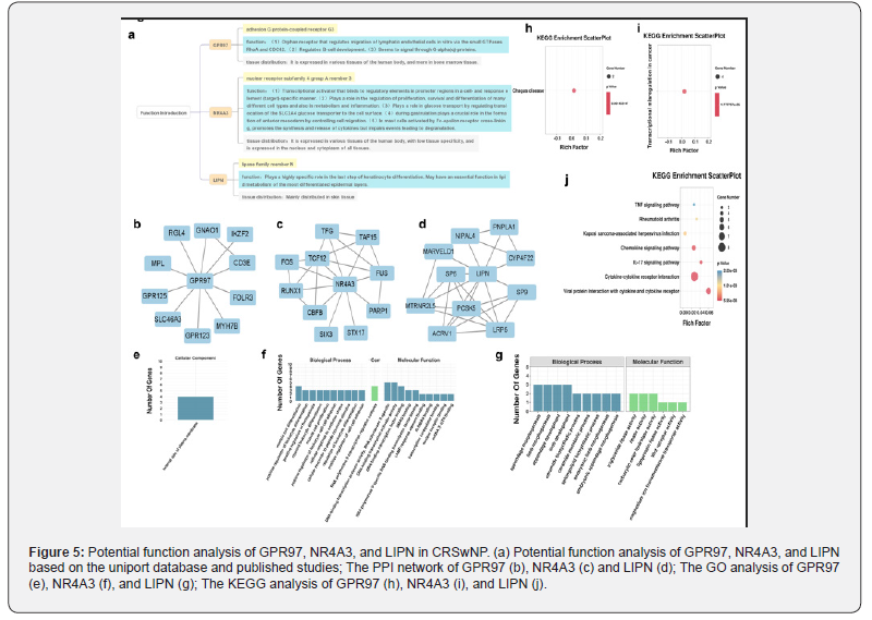 Click here to view Large Figure 5
