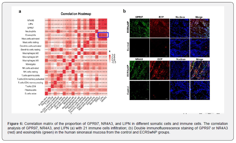 Click here to view Large Figure 6