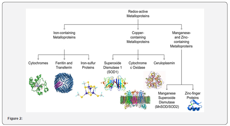 Click here to view Large Figure 2
