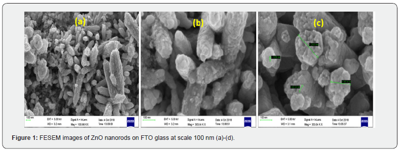 Click here to view Large Figure 1