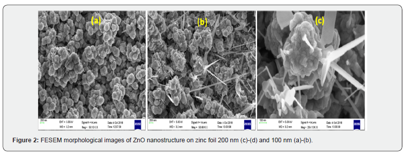Click here to view Large Figure 2