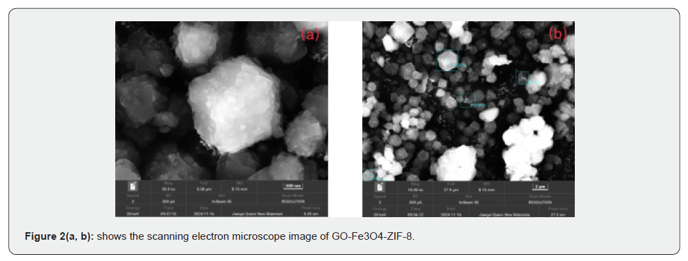 Click here to view Large Figure 2