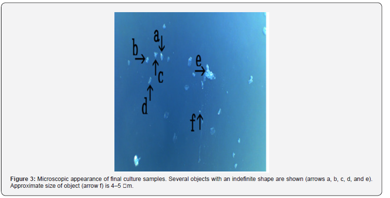 Click here to view Large Figure 3 Journal of Tumor Medicine & Prevention