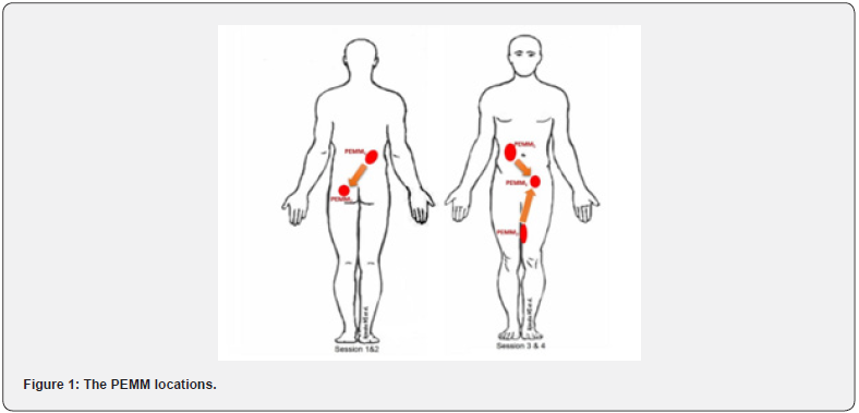 Click here to view Large Figure 1