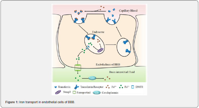 Click here to view Large Figure 1