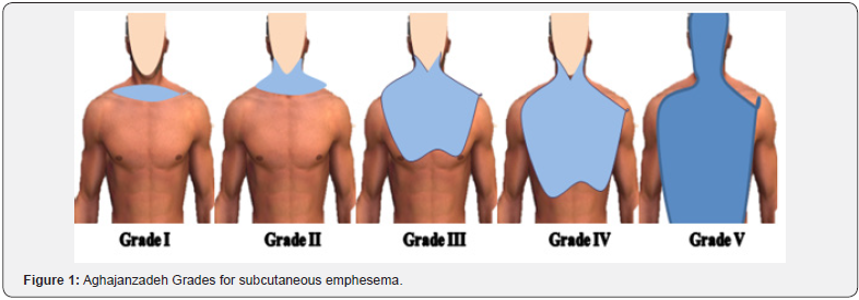 Click here to view Large Figure 1