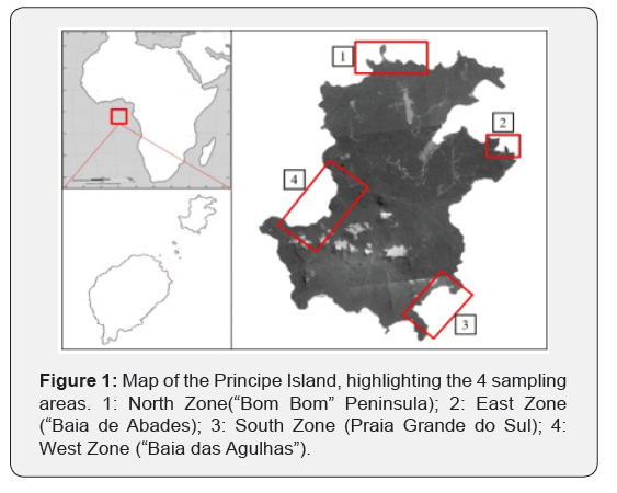 Click here to view Large Figure 1