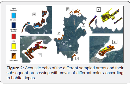 Click here to view Large Figure 2