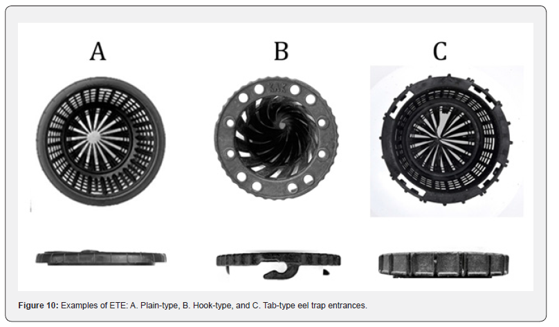 Click here to view Large Figure 10