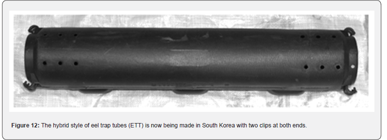 Click here to view Large Figure 12