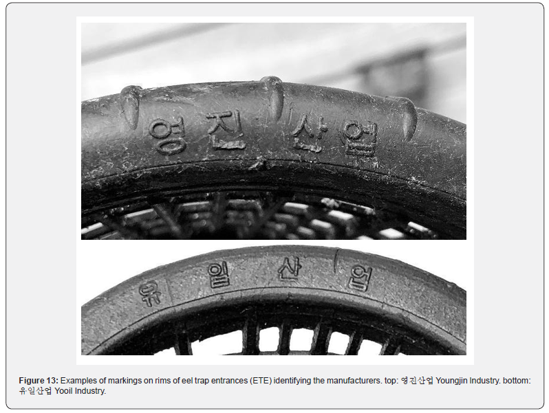 Click here to view Large Figure 13