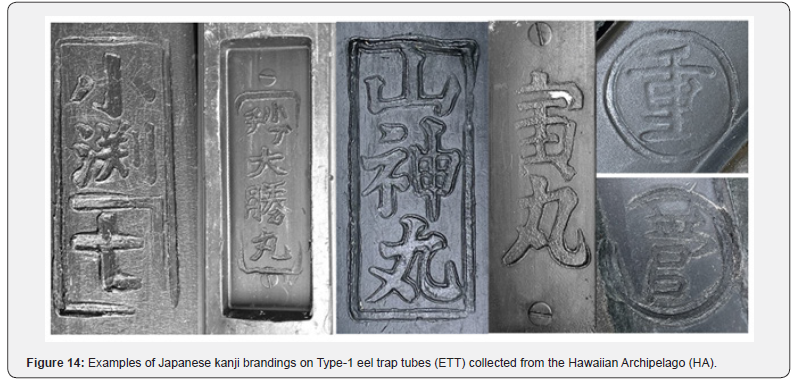 Click here to view Large Figure 14