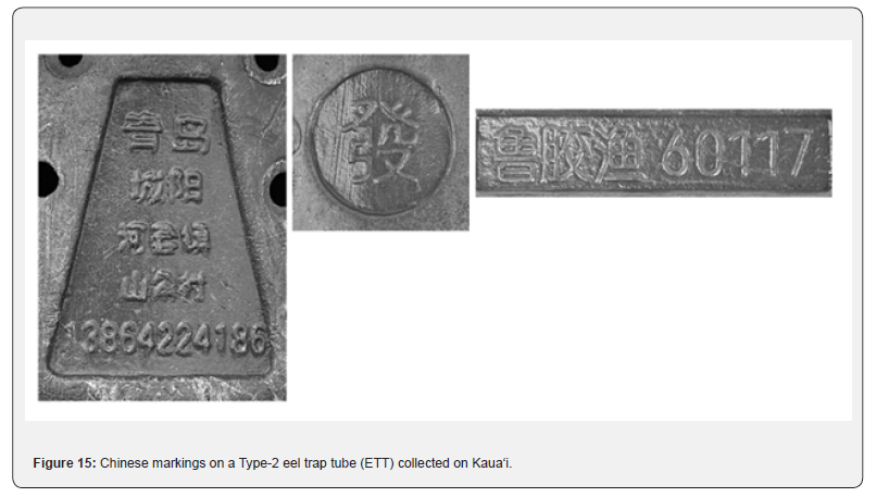 Click here to view Large Figure 15