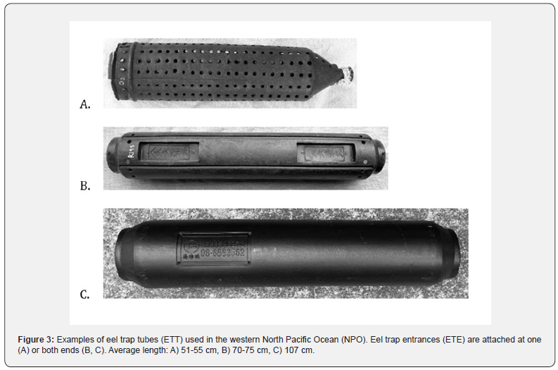 Click here to view Large Figure 3