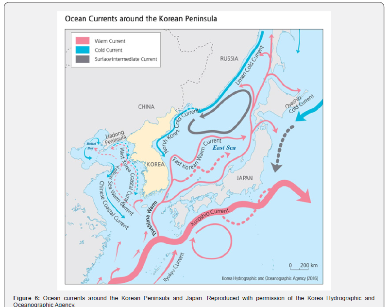 Click here to view Large Figure 6