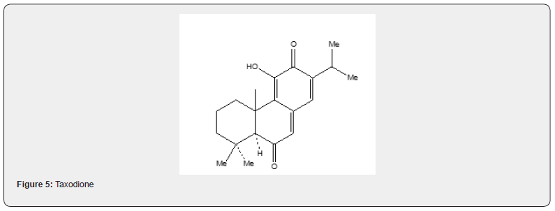 Click here to view Large Figure 13
