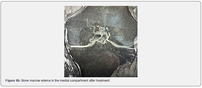 Click here to view Large Figure 8b