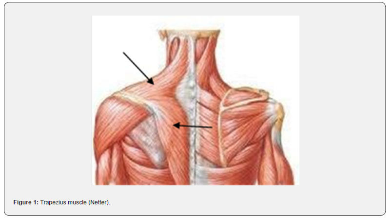 Click here to view Large Figure 1