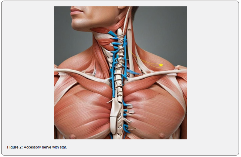 Click here to view Large Figure 2