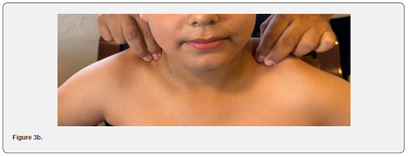 Click here to view Large Figure 3b