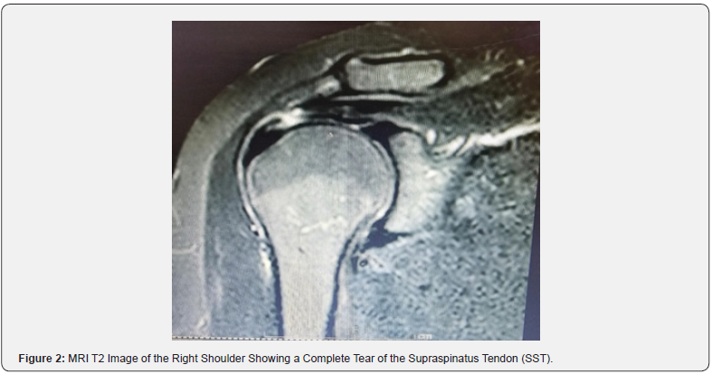 Click here to view Large Figure 2