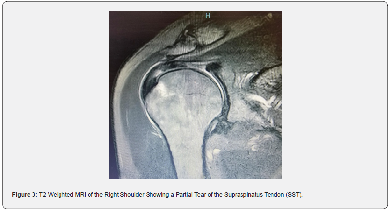 Click here to view Large Figure 3