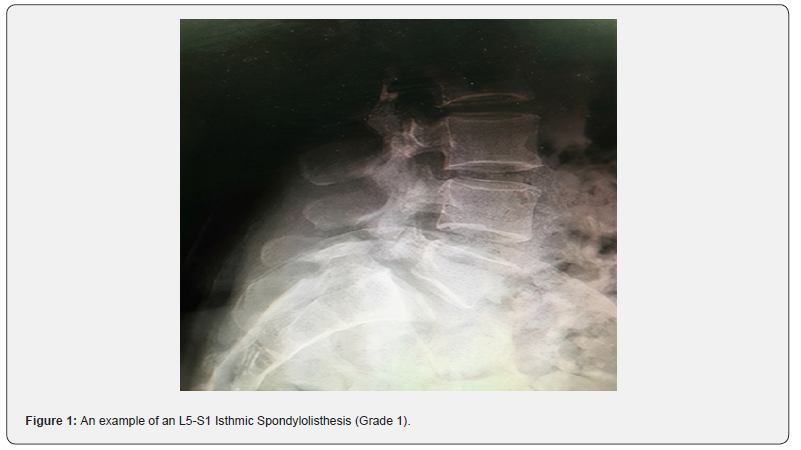 Click here to view Large Figure 1