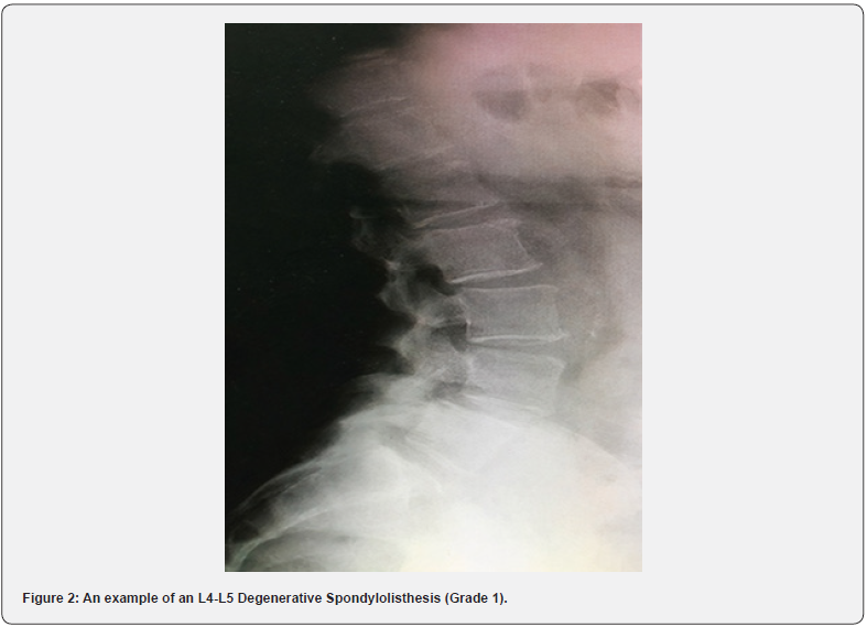 Click here to view Large Figure 2