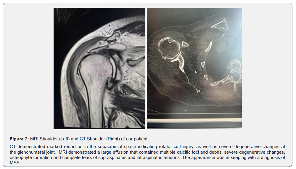 Click here to view Large Figure 2