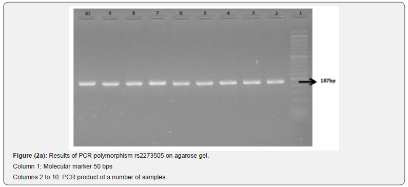 Click here to view Large Figure 2a