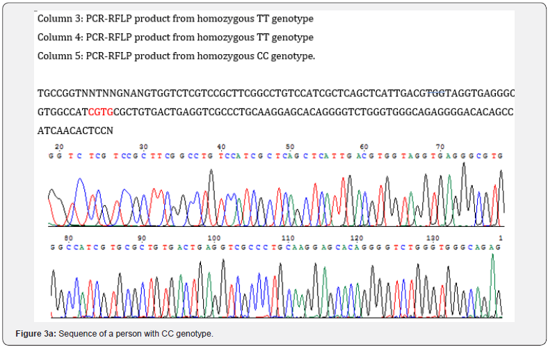 Click here to view Large Figure 3a