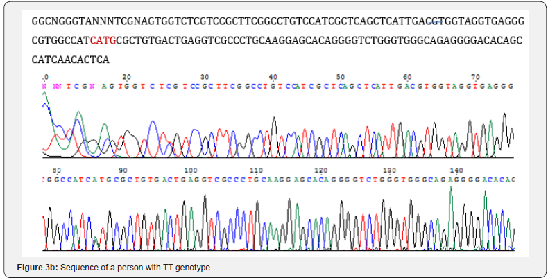 Click here to view Large Figure 3b