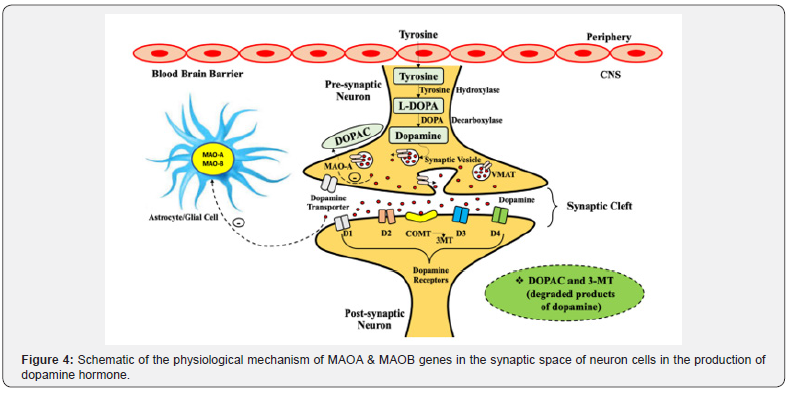 Click here to view Large Figure 4