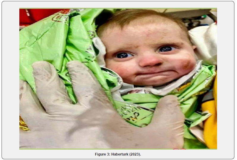 Click here to view Large Figure 3