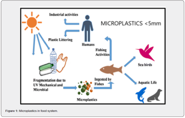 Click here to view Large Figure 1