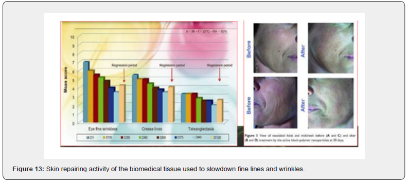 Click here to view Large Figure 13