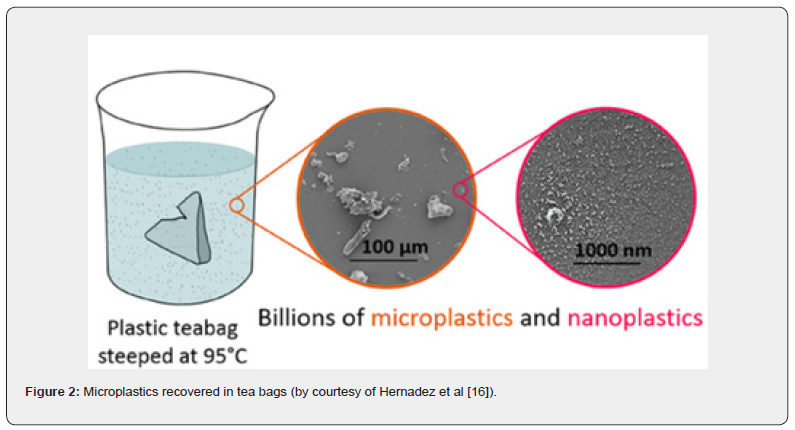 Click here to view Large Figure 2