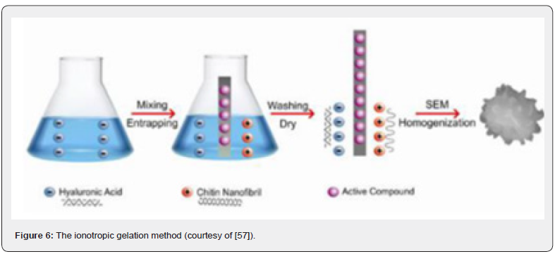 Click here to view Large Figure 6