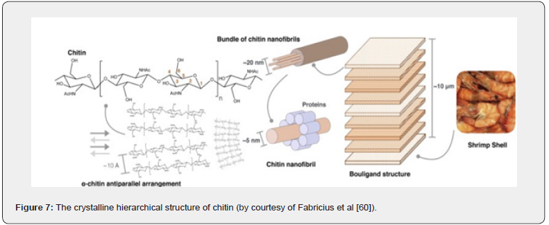 Click here to view Large Figure 7
